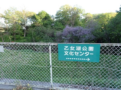 �����w�摜