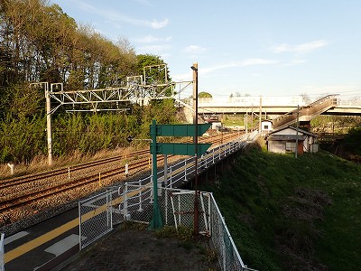 �����w�摜