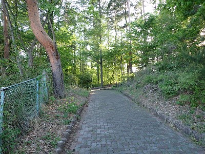 �����w�摜