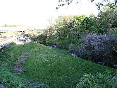 �����w�摜