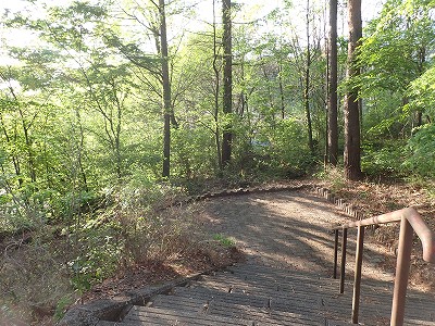 �����w�摜