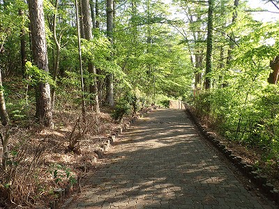 �����w�摜