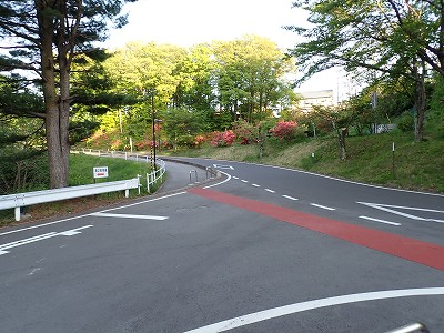 �����w�摜