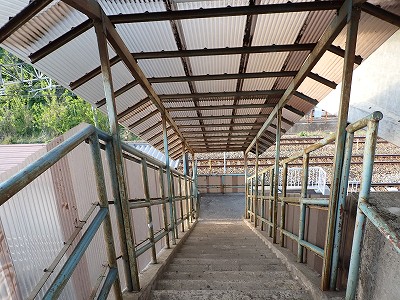 �����w�摜