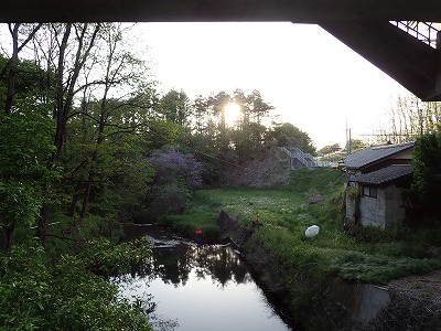 �����w�摜