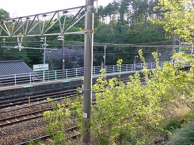 �����w�摜