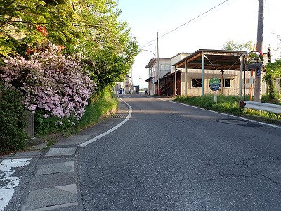 �����w�摜