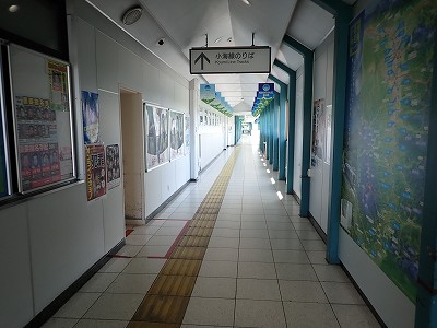 ���v���w�摜