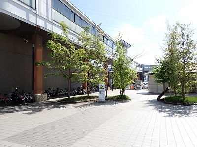 ���v���w�摜