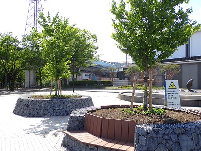 ���v���w�摜