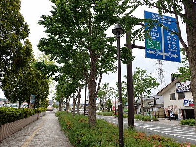 ���v���w�摜