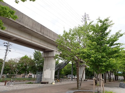 ���v���w�摜