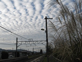 雲