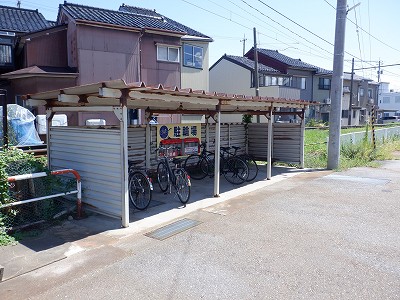 �V�����w�摜