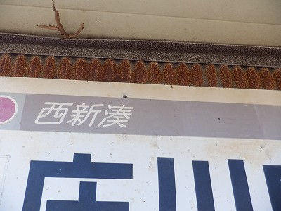 ������w�摜