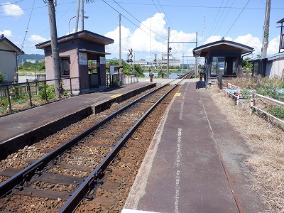 ������w�摜