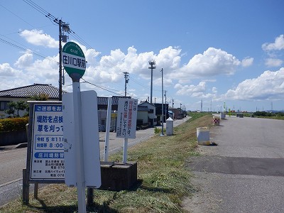 ������w�摜