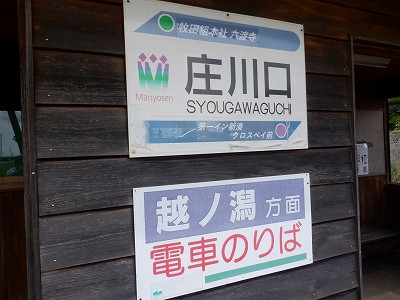 ������w�摜