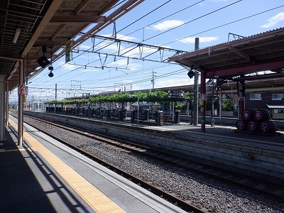 ���K�w�摜