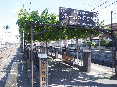 ���K�w�摜