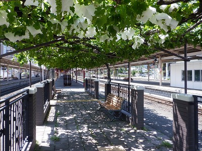 ���K�w�摜