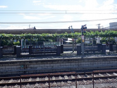 ���K�w�摜