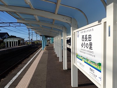 �����c���̗��w�摜