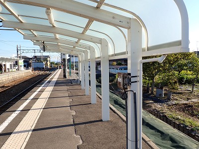�����c���̗��w�摜