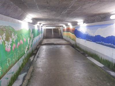 ���o�w�摜