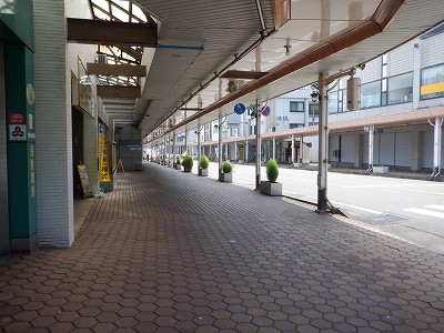 ���o�w�摜