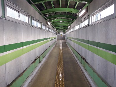 ���o�w�摜