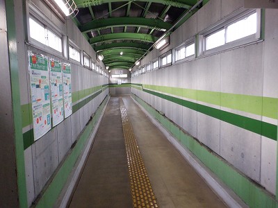 ���o�w�摜