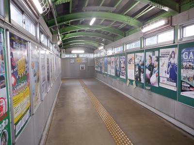 ���o�w�摜