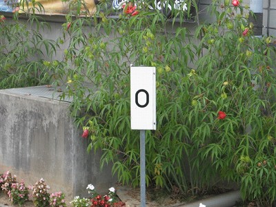 �Z�����w�摜