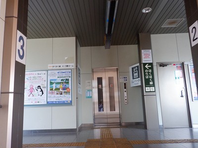 �Z�����w�摜