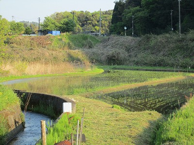 駅