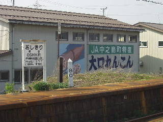 大口れんこん