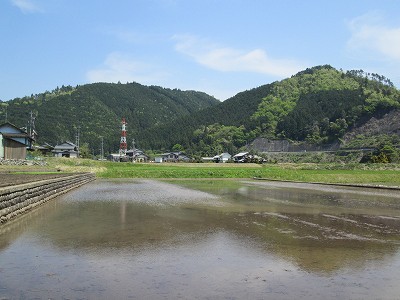 離れたところ