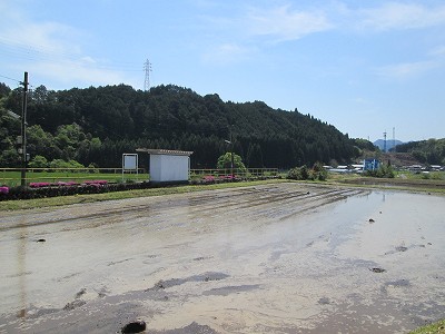 ホーム側