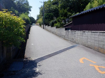 Hw摜