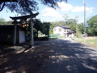 Hw摜