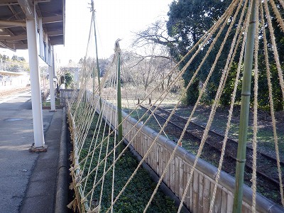 �a�q����w�摜