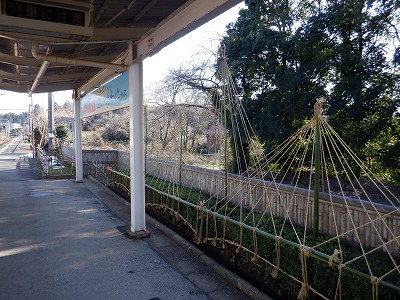 �a�q����w�摜