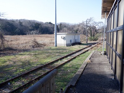 �a�q����w�摜