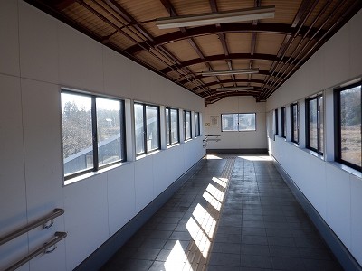 �a�q����w�摜