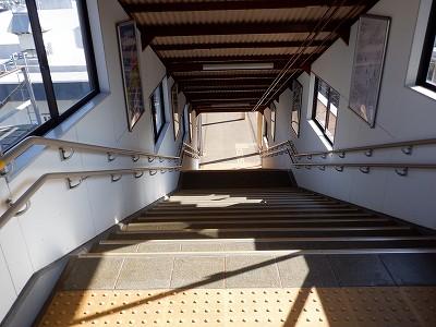 �a�q����w�摜