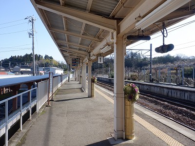 �a�q����w�摜