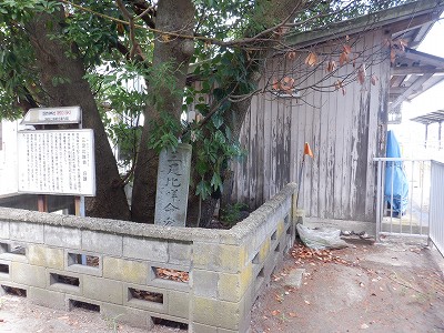 Hw摜