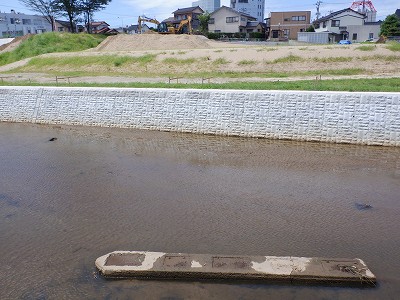 Hw摜
