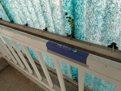 �{�Ô��w�摜